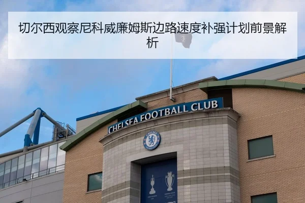切尔西观察尼科威廉姆斯边路速度补强计划前景解析